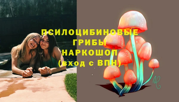 стафф Строитель